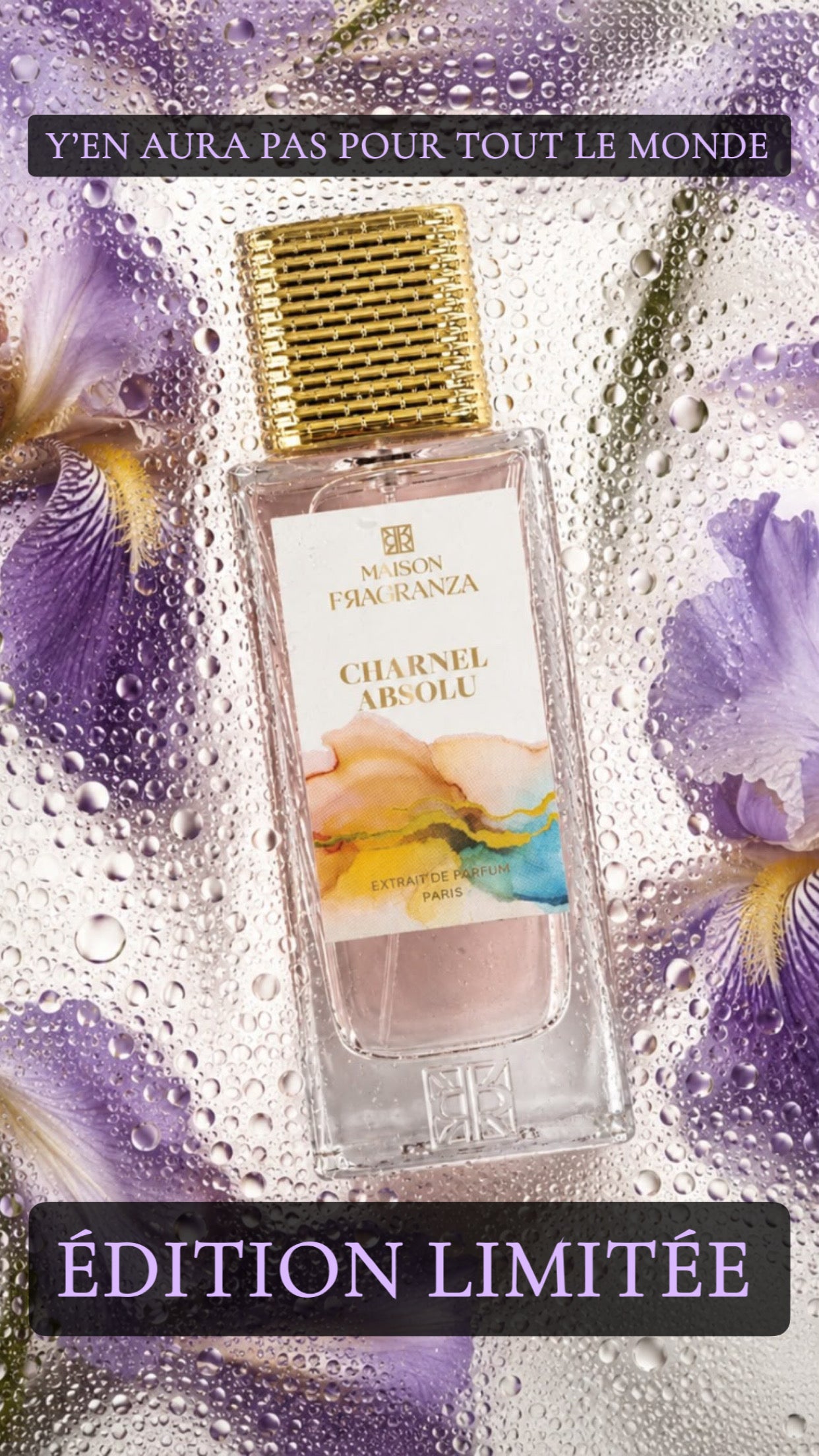 ÉDITION LIMITÉE CHARNEL ABSOLU - MAISON FRAGRANZA - EXTRAIT DE PARFUM - 100 mL